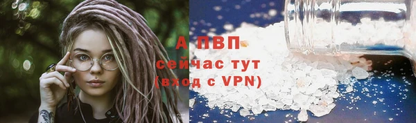 таблы Новодвинск