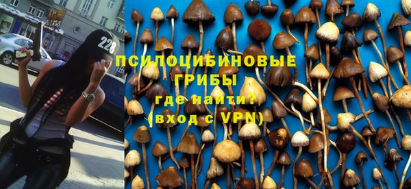 кокаин Новозыбков
