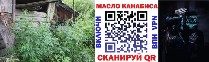 Купить  Чайковский  ТГК жижа