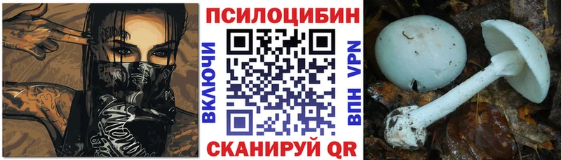 Купить  Чайковский  Псилоцибиновые грибы Psilocybine cubensis 